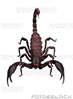 Brugers avatar